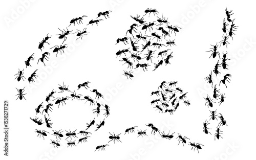 black ant trail working insect group silhouettes set