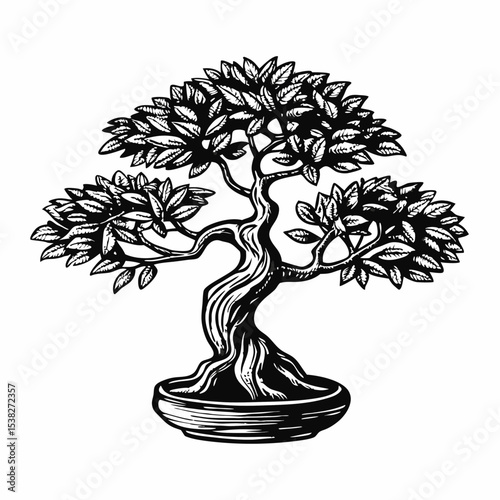Stylish bonsai tree drawing in black ink. Detailed bonsai illustration shows thick trunk and lush foliage.  Elegant bonsai tree image perfect for zen garden design, home decor, or logo design.