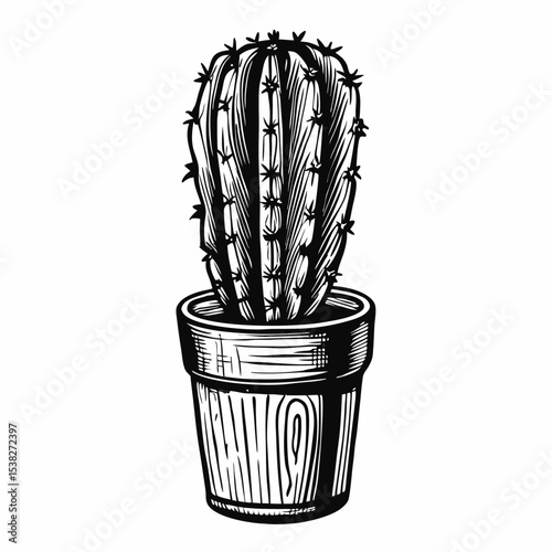 Potted cactus illustration. Detailed drawing of desert plant in wooden pot. Stylish monochrome cactus image perfect for home decor design projects.