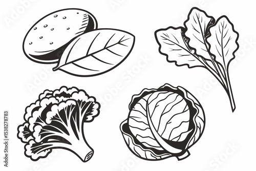 set of vegetables