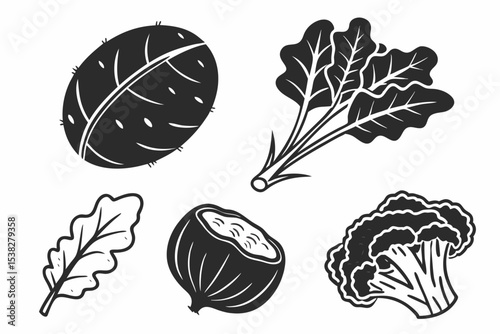 set of different kinds of vegetables vector illustration