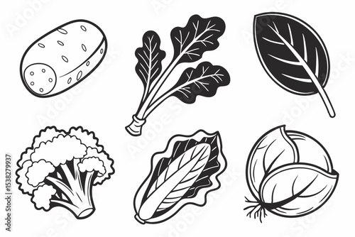 set of vegetables