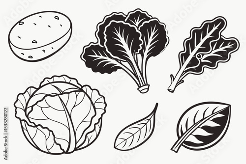 hand drawn vegetables