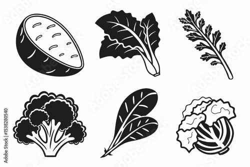 hand drawn vector illustration of vegetables
