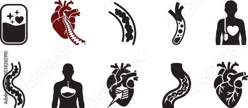 Human anatomy internal organs heart vessels illustrations. eps-10