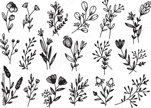 Floral Doodle Set, Leaves and Branches Hand Drawn Botanical Elements Vector, 