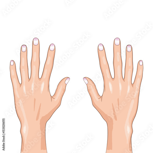 vector of a pair of human hands on a white background