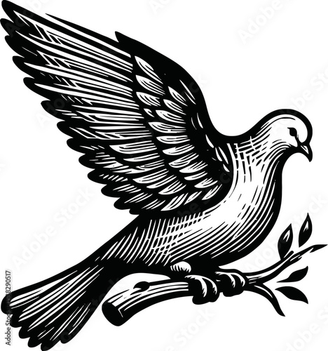 flying dove bird animal.line art vector illustration template design
