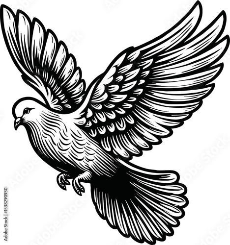 flying dove bird animal.line art vector illustration template design
