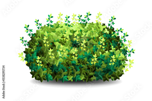 Garden bush. Green garden vegetation bushes