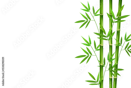 Vertical stems of green realistic bamboo with branches and leaves