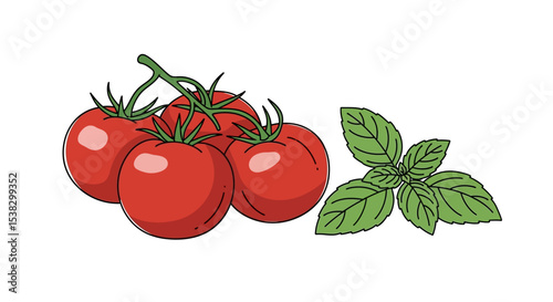 Fresh Tomatoes and Basil Illustration
