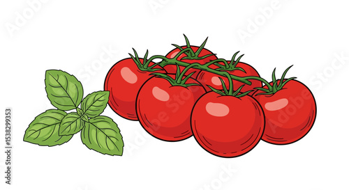 Tomatoes and Basil: Fresh Culinary Ingredients Illustration
