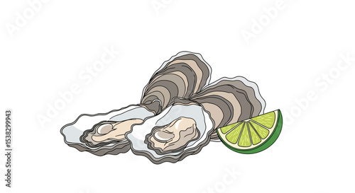 Fresh Oysters with Lime - Culinary Illustration