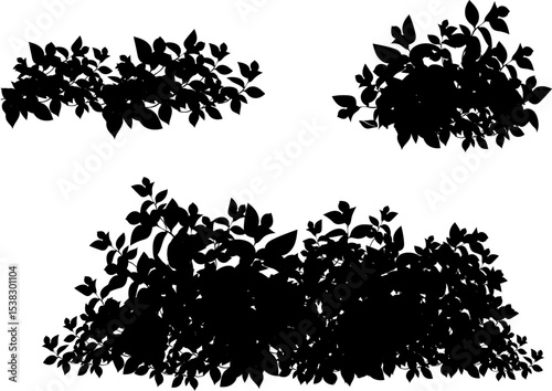 Set of ornamental black plant in the form of a hedgeRealistic garden shrub seasonal bush boxwood tree crown bush foliageFor decorate of a park a garden or a fence