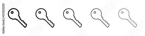 key icons in black stroke designs on white background