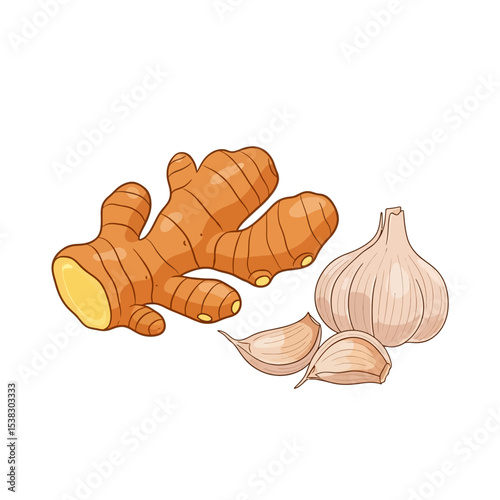 Ginger and Garlic Illustration: Culinary Spices for Asian Cuisine