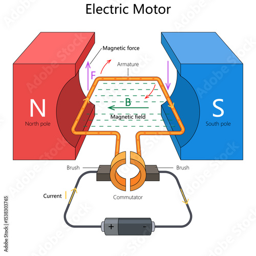 magnetic interaction in an electric motor, including armature, magnetic field, and commutator hand drawn schematic vector illustration. Science educational illustration