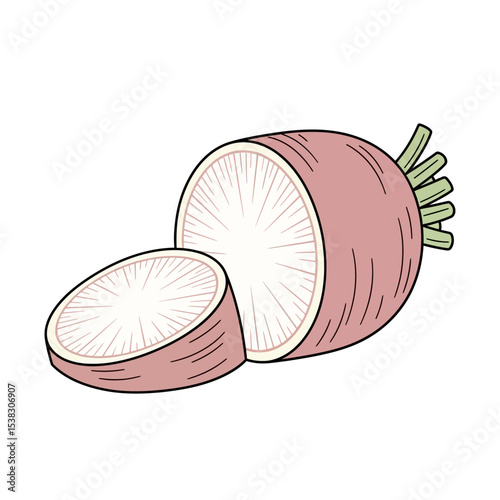 Sliced Radish Cartoon Illustration for Healthy Eating