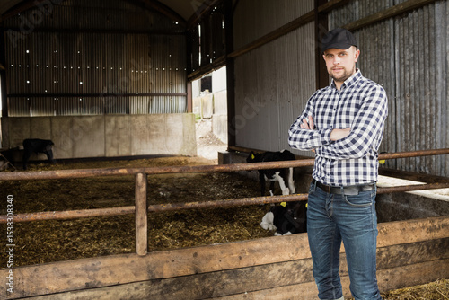 Middle aged man leaning against rusted fence inside barn, calves resting on straw, copy space