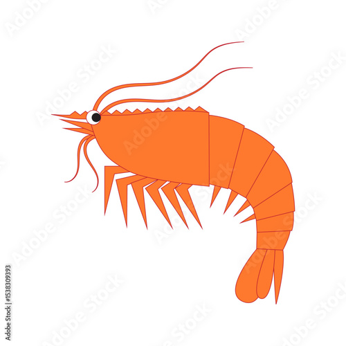 Shrimp logo. Isolated shrimp on white background. Prawns symbol.