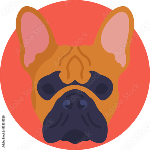 Boxer: A muscular, medium-sized dog breed with a square muzzle and expressive face.