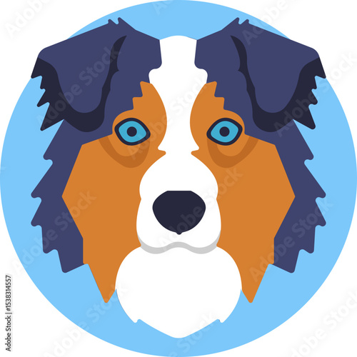 Australian Shepherd: A medium-sized herding dog known for its intelligence and agility.