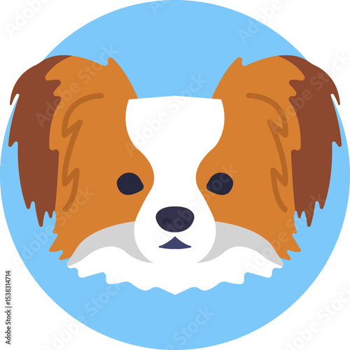 Papillon: Small dog with large, butterfly-like ears and a fluffy tail.