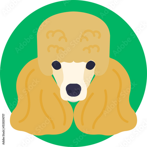 Poodle: Elegant dog breed known for its curly fur and distinctive grooming style.