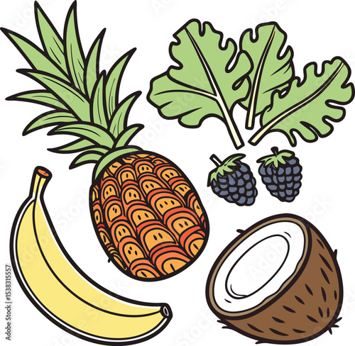 fresh tropical fruit slice vector set collection art