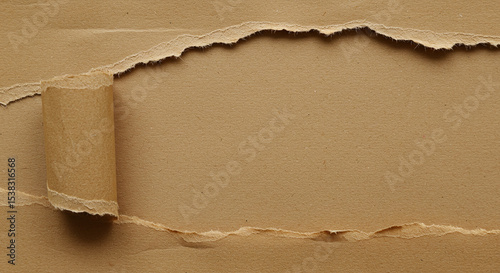 Torn Paper Revealing a Textured Background with a Rolled Edge and Empty Space
