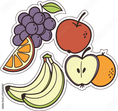 fresh tropical fruit slice vector set collection art
