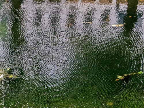 Abstract reflectiopn of trees and building in water