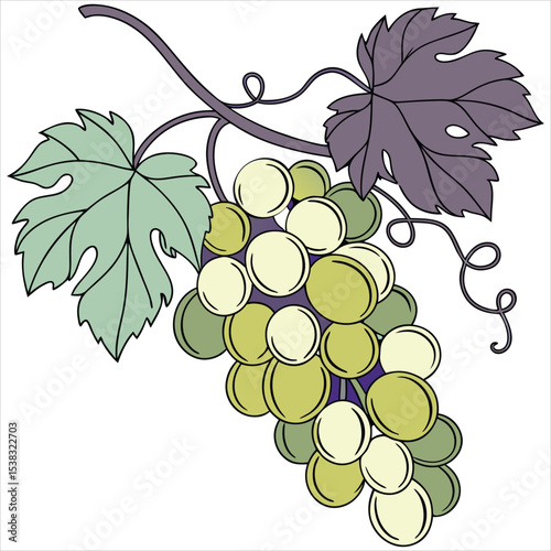  food vector