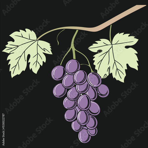  food vector