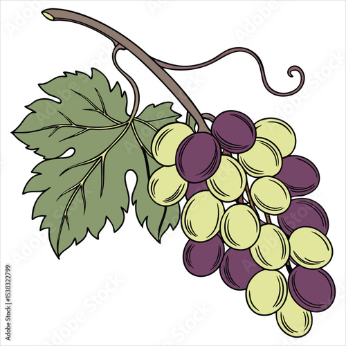  food vector