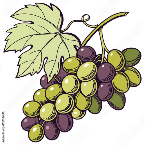  food vector