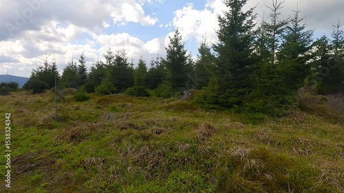 Wallpaper Mural Jeleni loucky hill summit in Jeseniky mountains in Czech republic during beautiful springtime day Torontodigital.ca