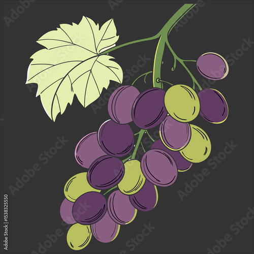  food vector
