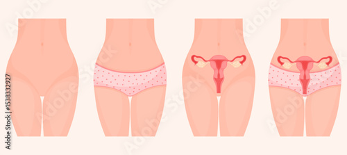 Vector cartoon image of female body and uterus location. Body study concept. Element for your design