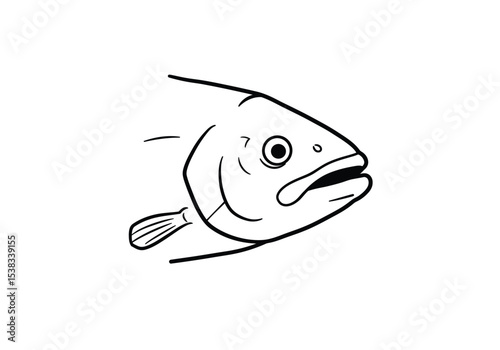 Fish head drawing. It is a black and white outline image focusing on the head of a fish, showing its eye, mouth, and gill plate. Vector sketch line art draw.