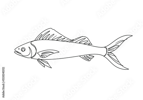 Long fish drawing. It is a black and white outline image of an elongated fish with a slender body, featuring prominent fins and tail. Vector sketch line art draw.