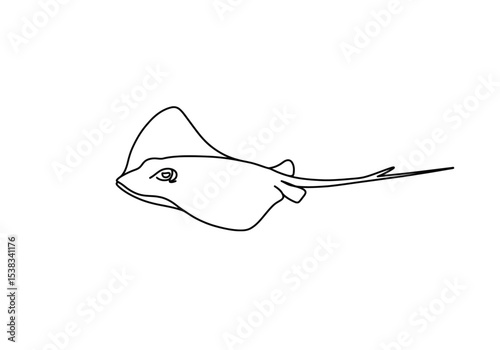 Sting ray drawing. It is a black and white outline image of a stingray, a marine animal with a flattened body and a distinctive long tail. Vector sketch line art draw.