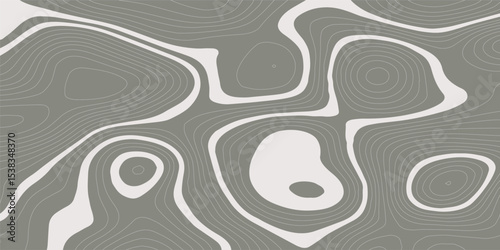 Abstract topographic contours map background. Topography lines and circles background. Topographic map Patterns, Topographic map and place for texture. Vector illustration.	