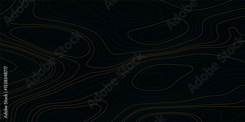 Orange and blue wavy abstract topographic map contour, lines Pattern background. Topographic map and landscape terrain texture grid. Wavy banner and color geometric form. Vector illustration.	

