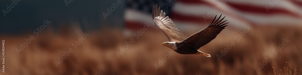 Obraz premium Majestic bald eagle in flight with american flag in background