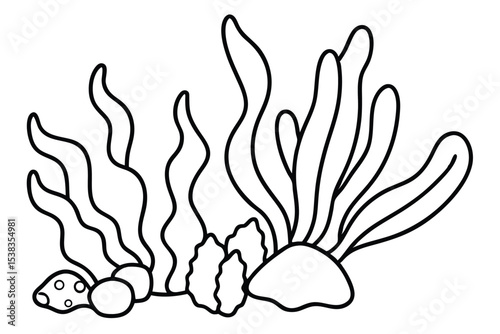 seaweeds stones corals outline coloring book page line art drawing