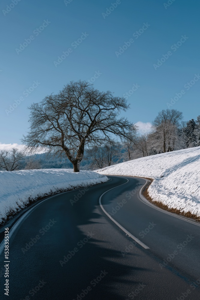Fototapeta premium Winter road with snow-covered landscape and bare trees under clear blue sky