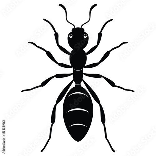 ant vector