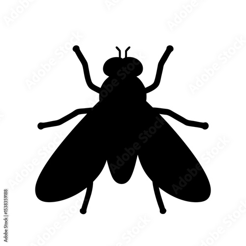 Silhouette of a fly against a white background, viewed from above